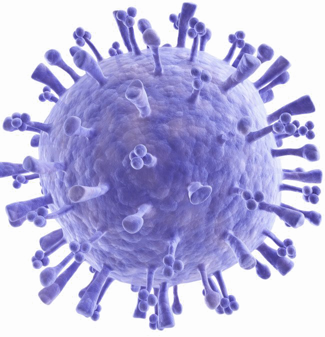 Бактерии PNG Image