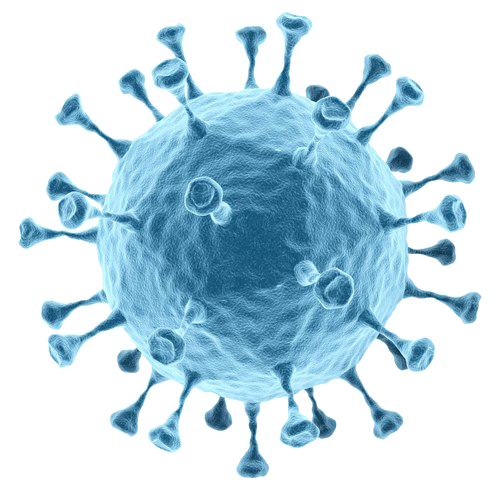 Bacteria PNG Transparent Image