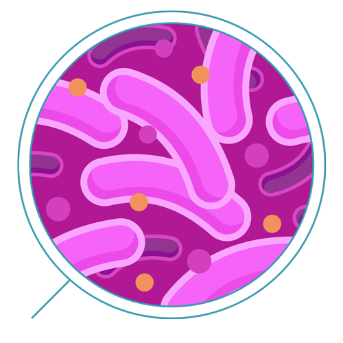 Bakteri latar belakang Transparan
