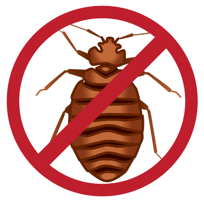 Bed bug PNG achtergrondafbeelding