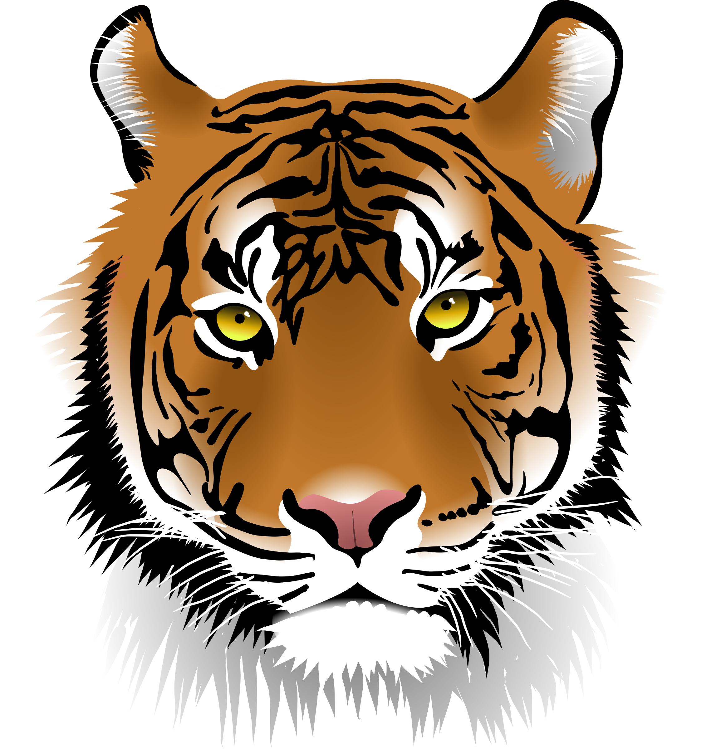 Bengal Tiger PNG Pic