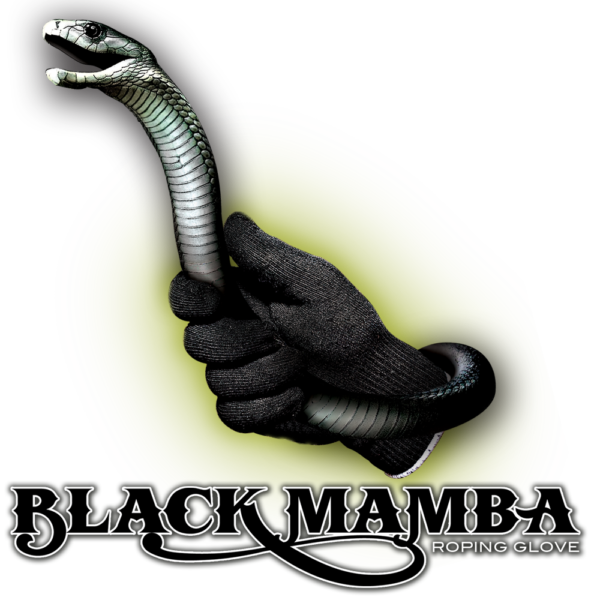 Black Mamba PNG Image