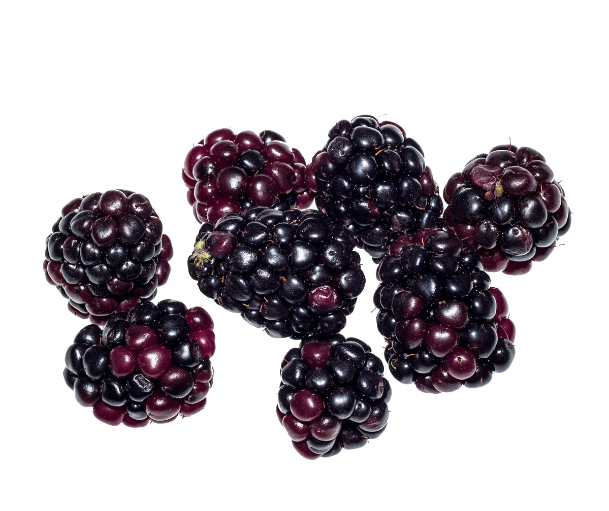 Blackberry Fruit PNG Image