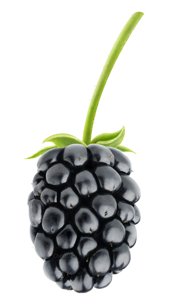 Blackberry Fruit PNG Photos