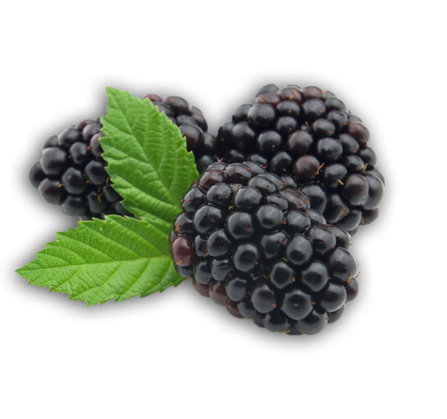 Blackberry Fruit PNG Picture