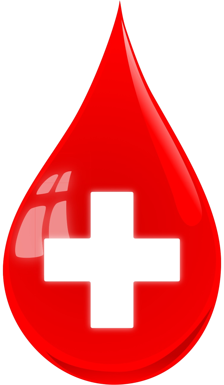 Blood Donation PNG File