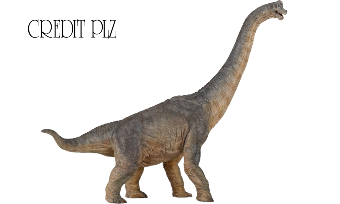 Imagem transparente de Brachiosaurus PNG