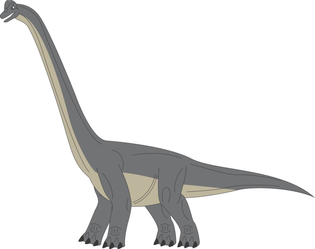 Brachiosaurus PNG şeffaf resim
