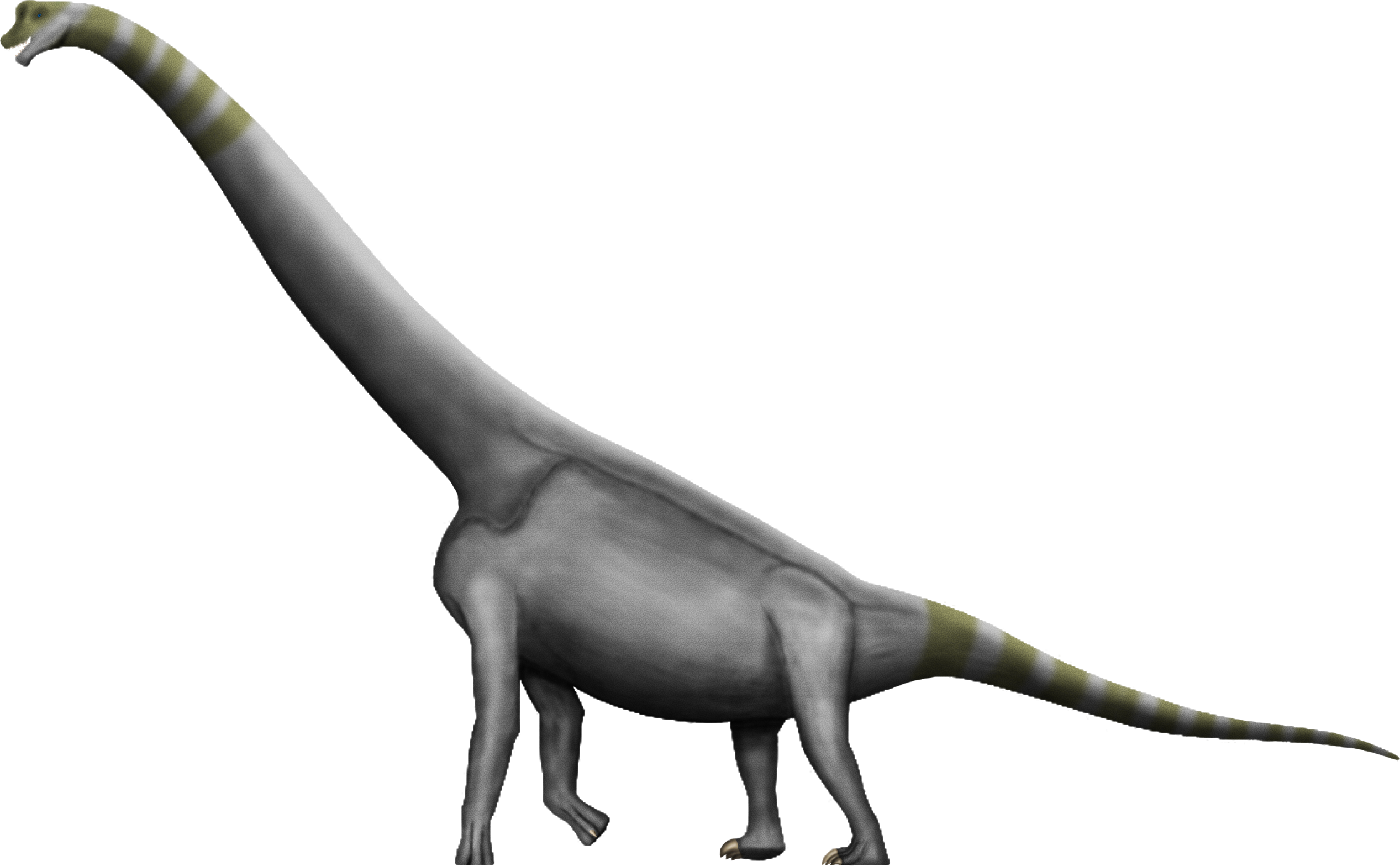 Braquiosaurus transparente PNG