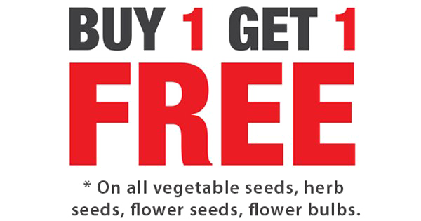 Buy 1 Get 1 Free PNG Background Image