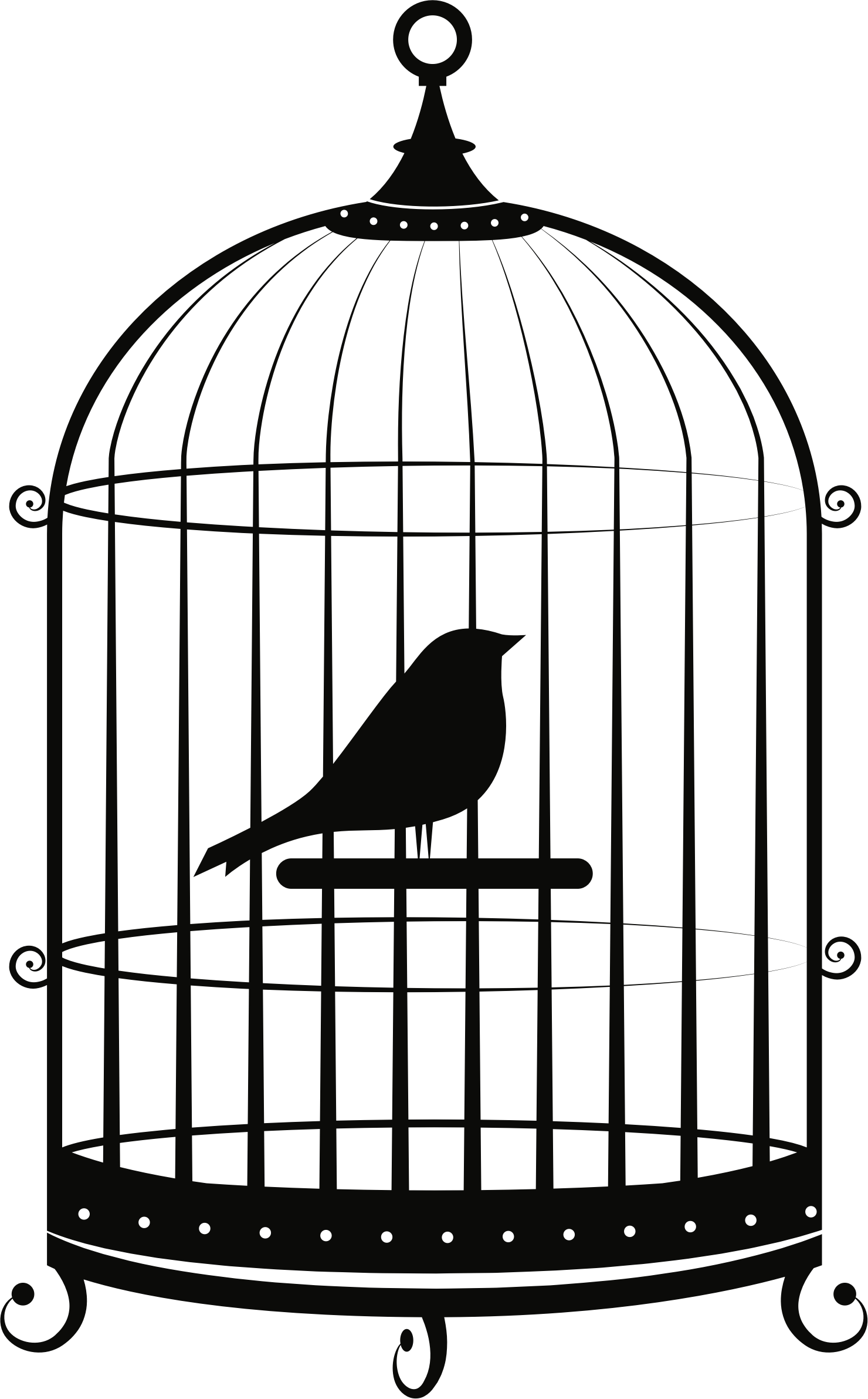 Cage PNG Image