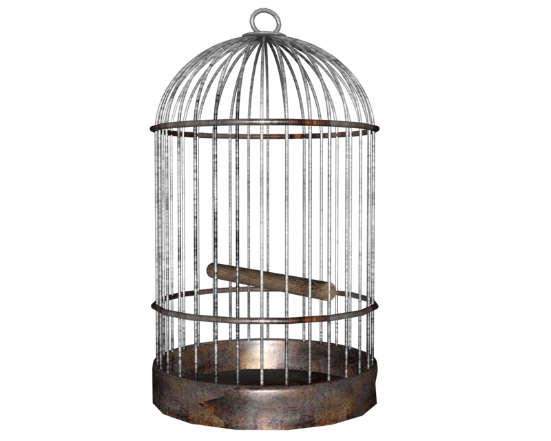 Cage PNG Photos