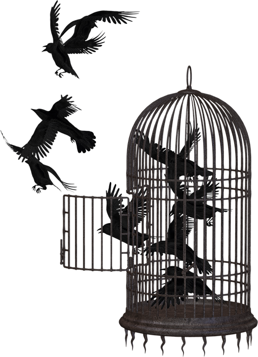 Cage PNG Picture