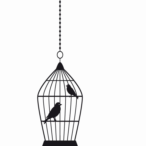 Caged Bird PNG Image
