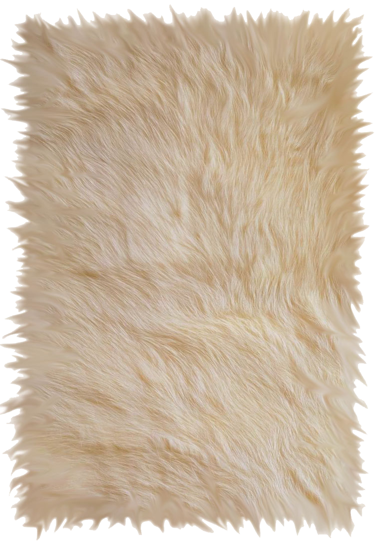 Carpet PNG Transparent Image