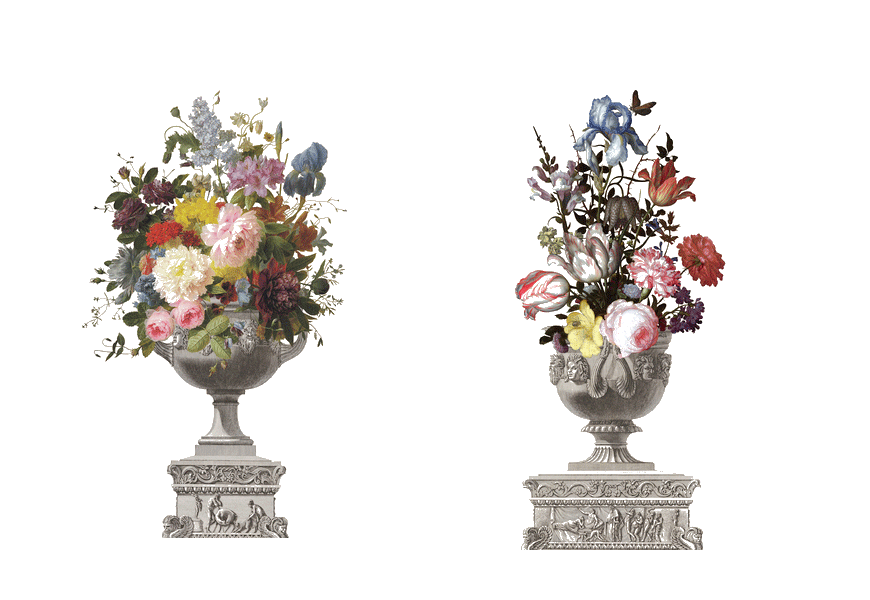 Классическая цветочная ваза PNG Фотографии