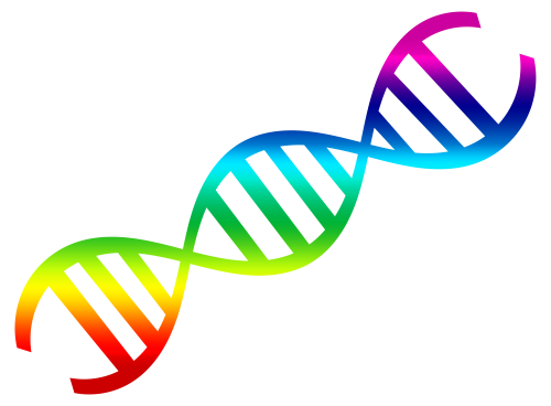 Gambar Latar Belakang DNA PNG