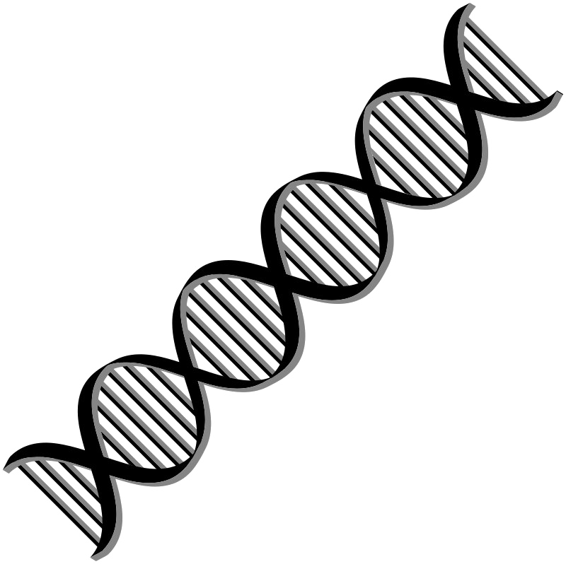 DNA PNG Free Download