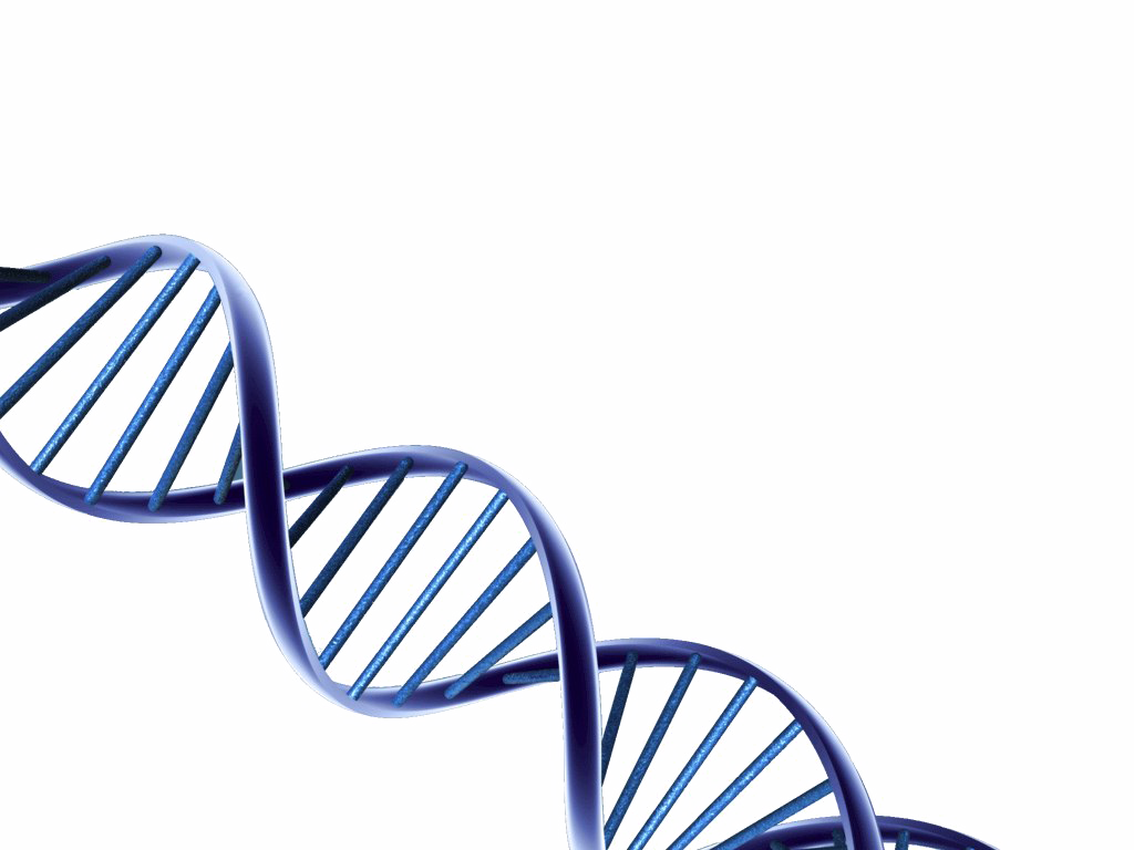 DNA PNG HD