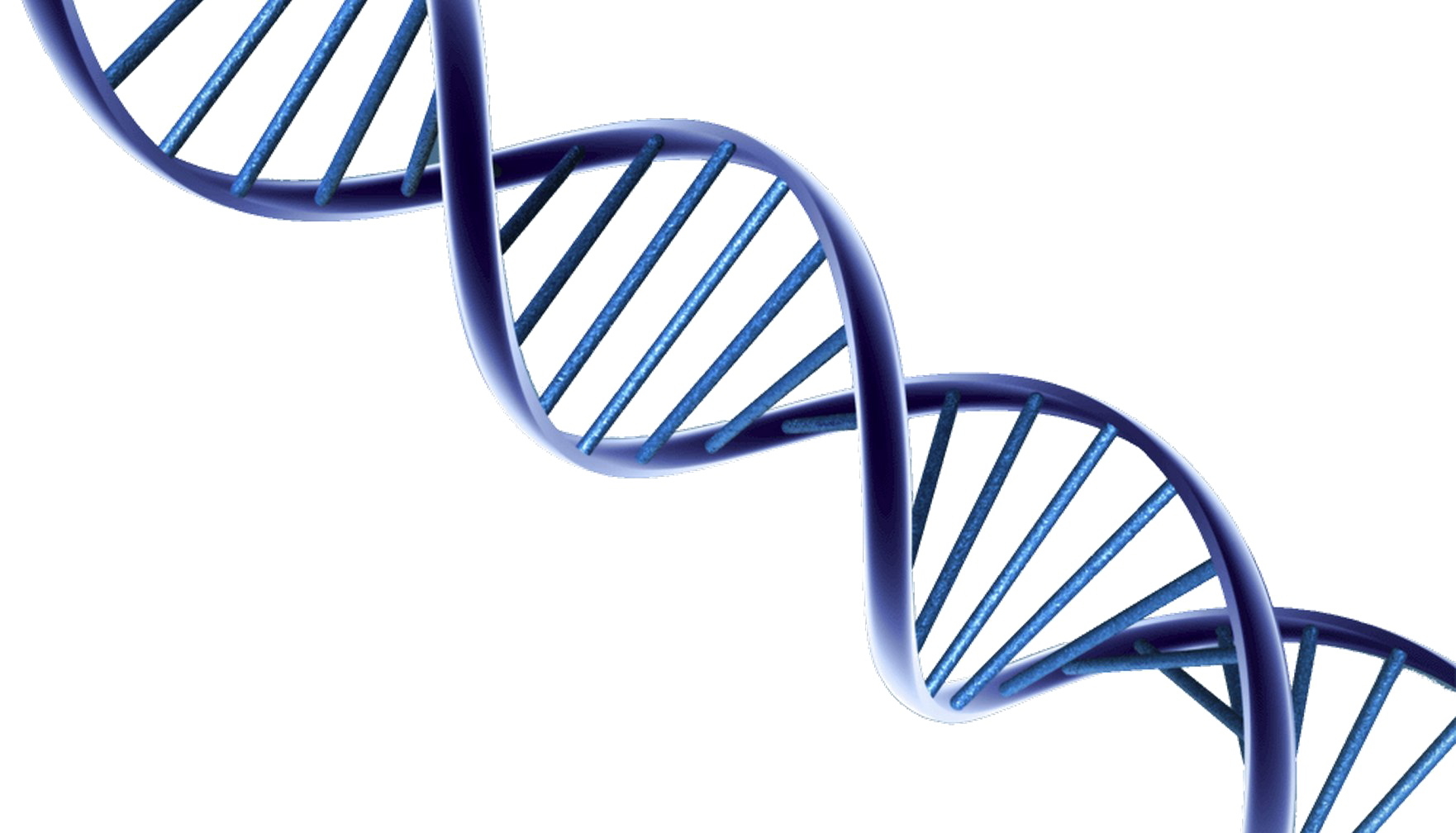 DNA PNG Photo