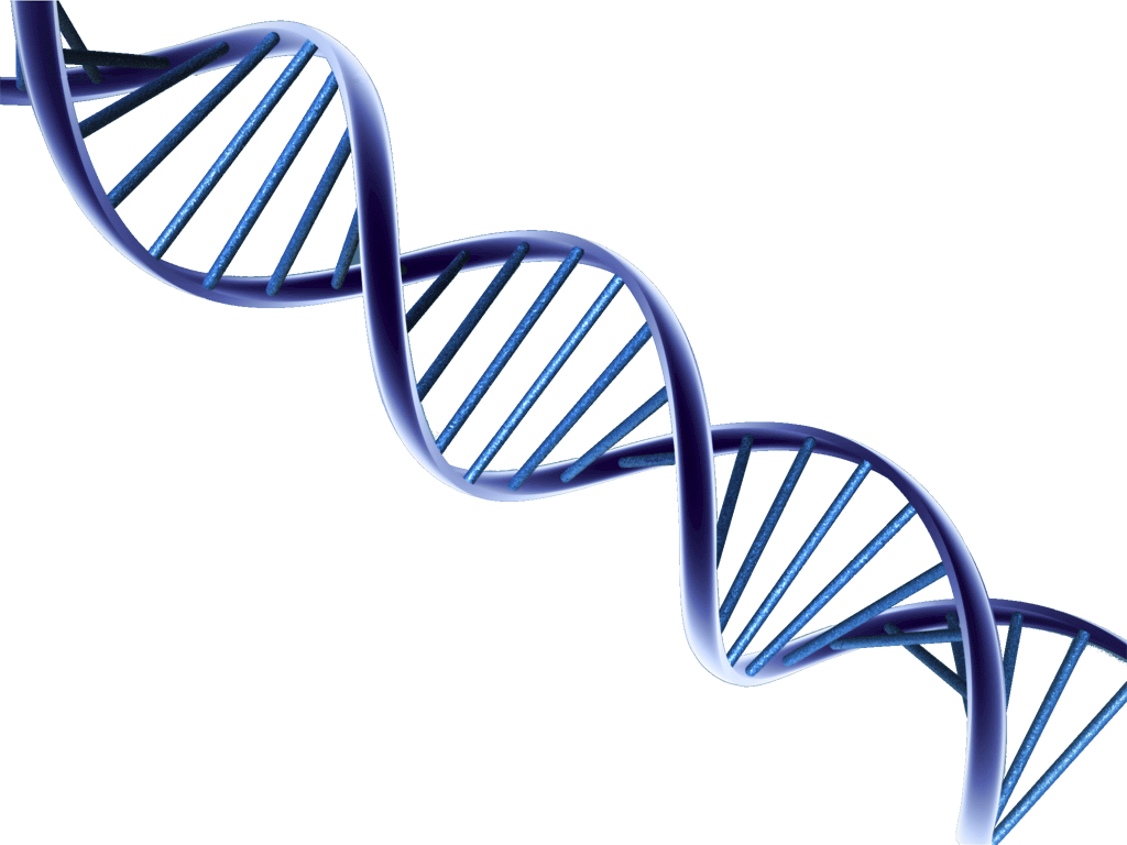 DNA PNG PLICE