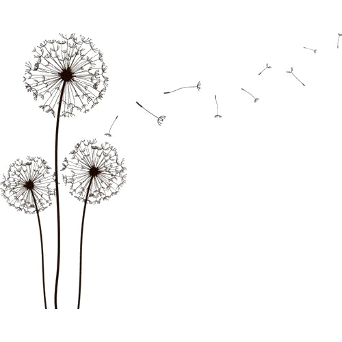 Dandelion PNG File
