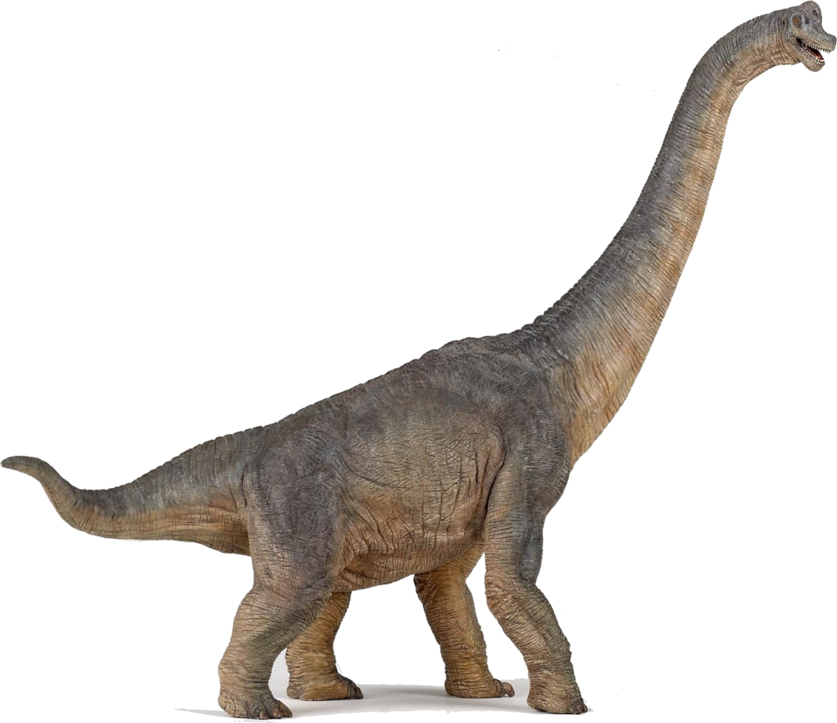 Dinosaurs PNG Photo