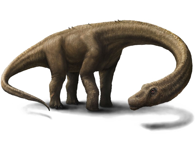 Динозавры PNG Pic