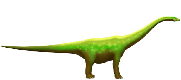 Diplodocus PNG Background Image