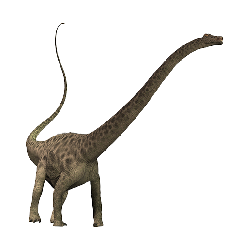 Diplodocus PNG şeffaf görüntü