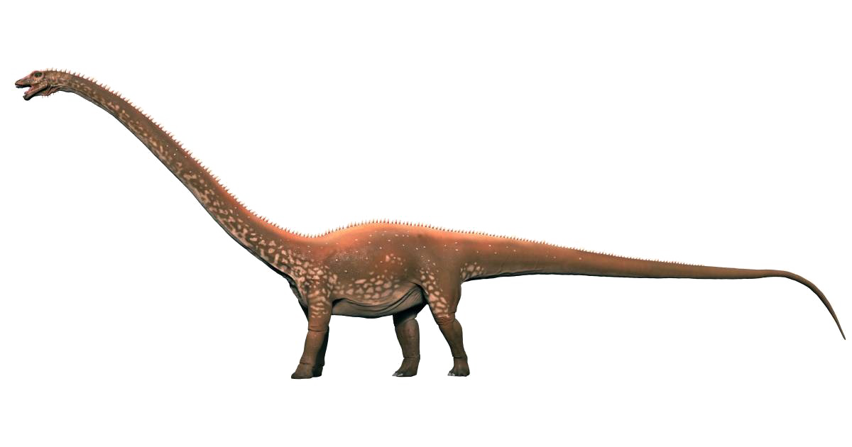 Diplodocus Transparenter Hintergrund