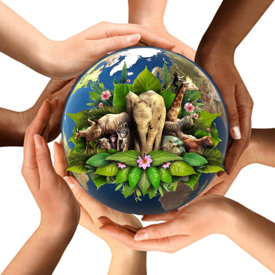 Earth In Hands PNG Picture