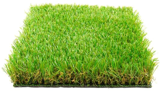 Fake Grass PNG Image