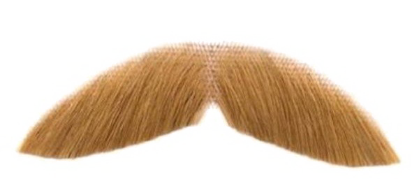 Fake Moustache PNG Transparent Image