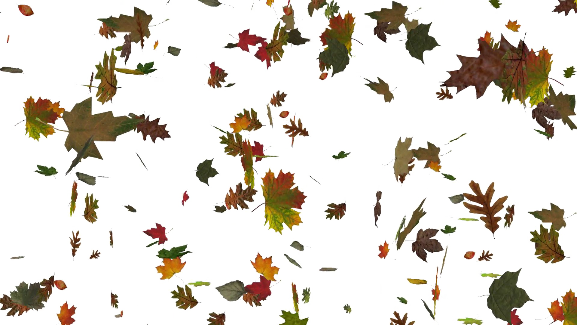 Falling Leaf PNG Image