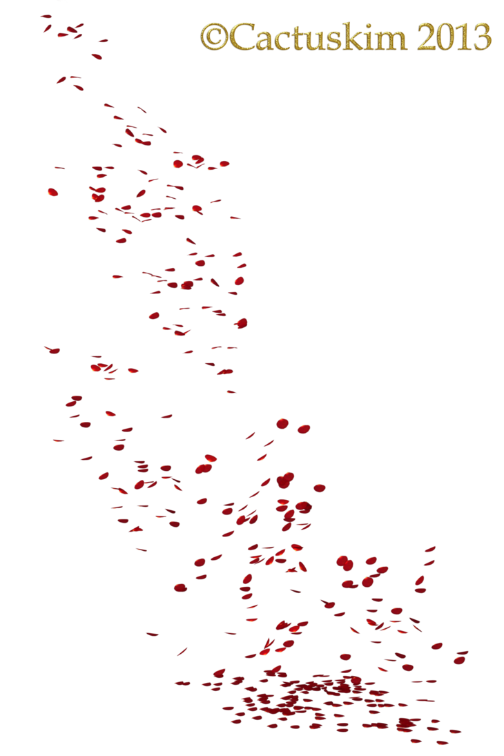 Fallende Blütenblätter PNG PIC