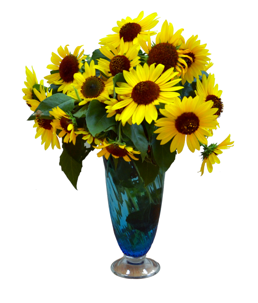 Vase de fleurs Télécharger limage PNG