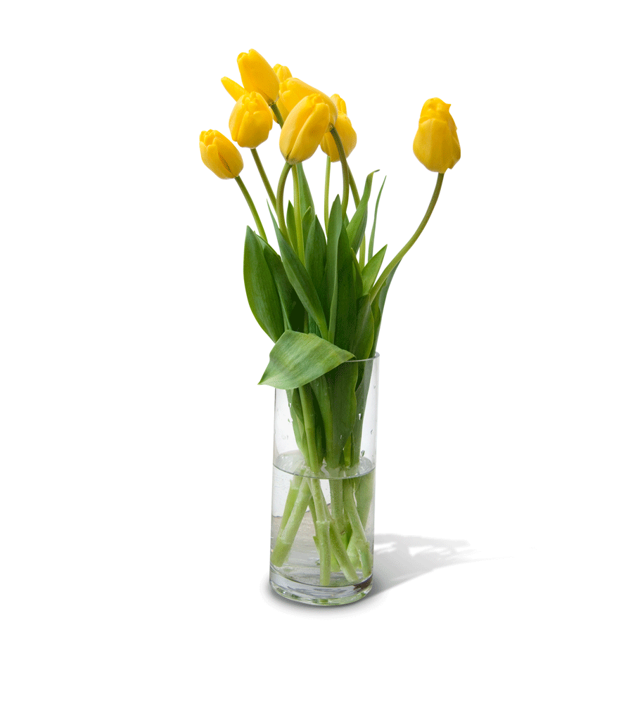 Цветочный ваза PNG скачать бесплатно