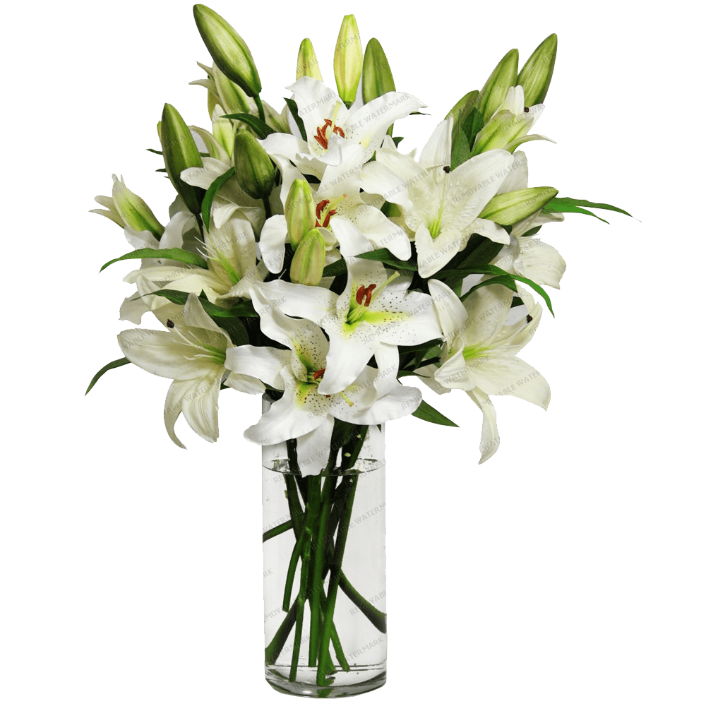 Vase de fleurs Image PNG