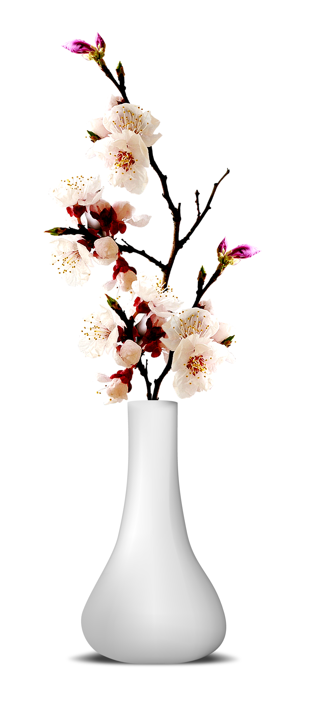 Цветочная ваза PNG прозрачный образ