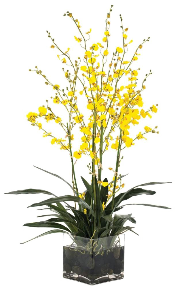 Цветочная ваза PNG прозрачная картина