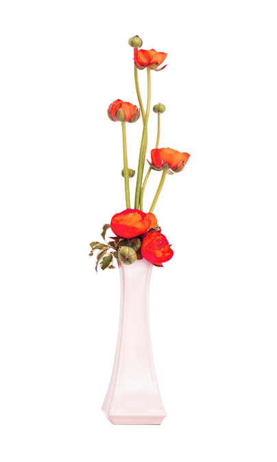 Vase fleur PNG Transparent