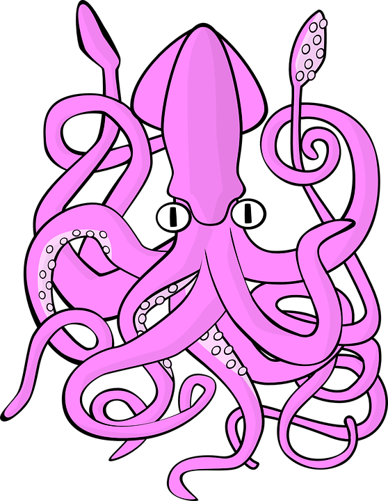 Giant Squid PNG Picture
