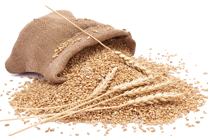 Grain PNG Clipart