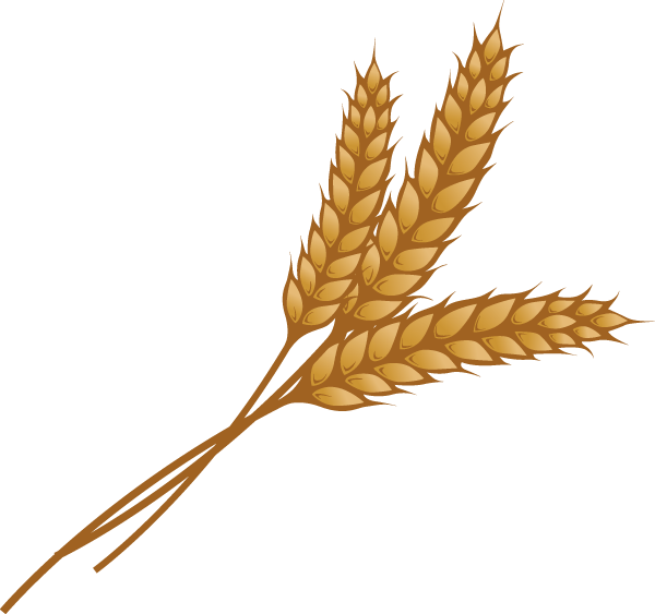 Grain PNG Image
