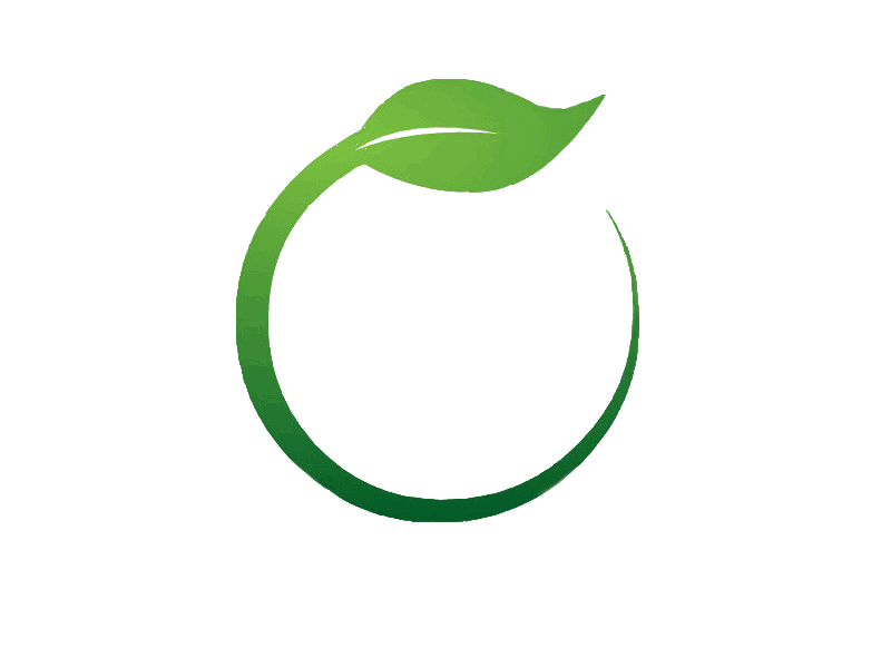 Immagine verde foglia verde