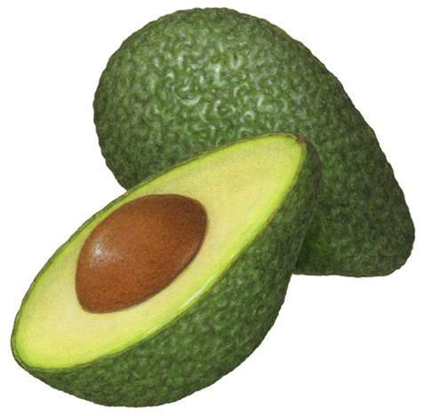 Mezzo avocado PNG Clipart