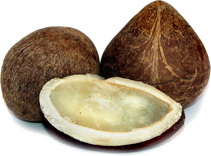 Half Coconut PNG Photos