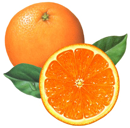 Mezzo file PNG arancione