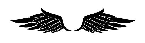 Половина крылья PNG Clipart